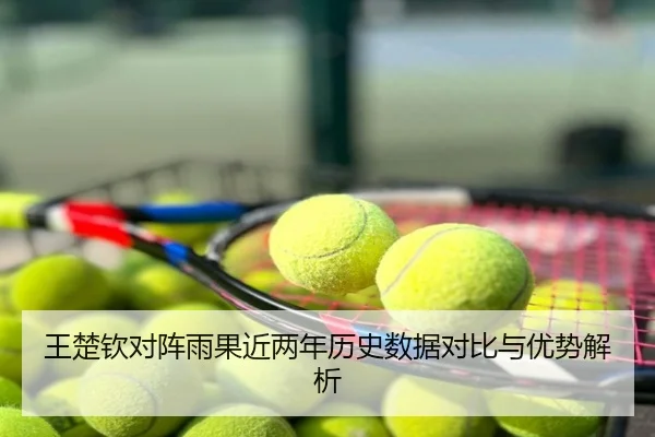 王楚钦对阵雨果近两年历史数据对比与优势解析