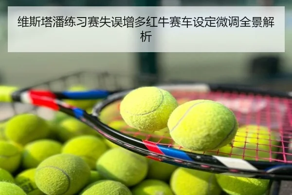 维斯塔潘练习赛失误增多红牛赛车设定微调全景解析